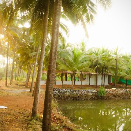 India Yoga Village Canacona Luaran gambar