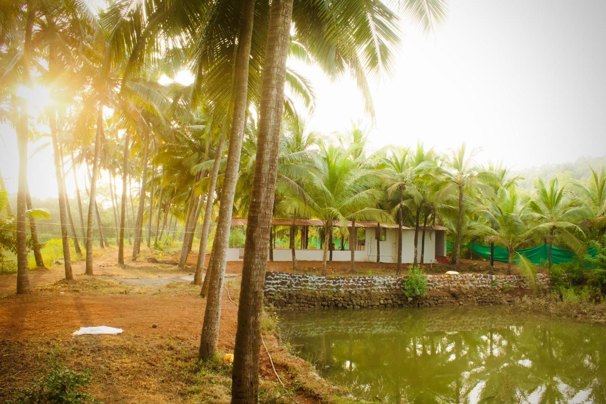 India Yoga Village Canacona Luaran gambar
