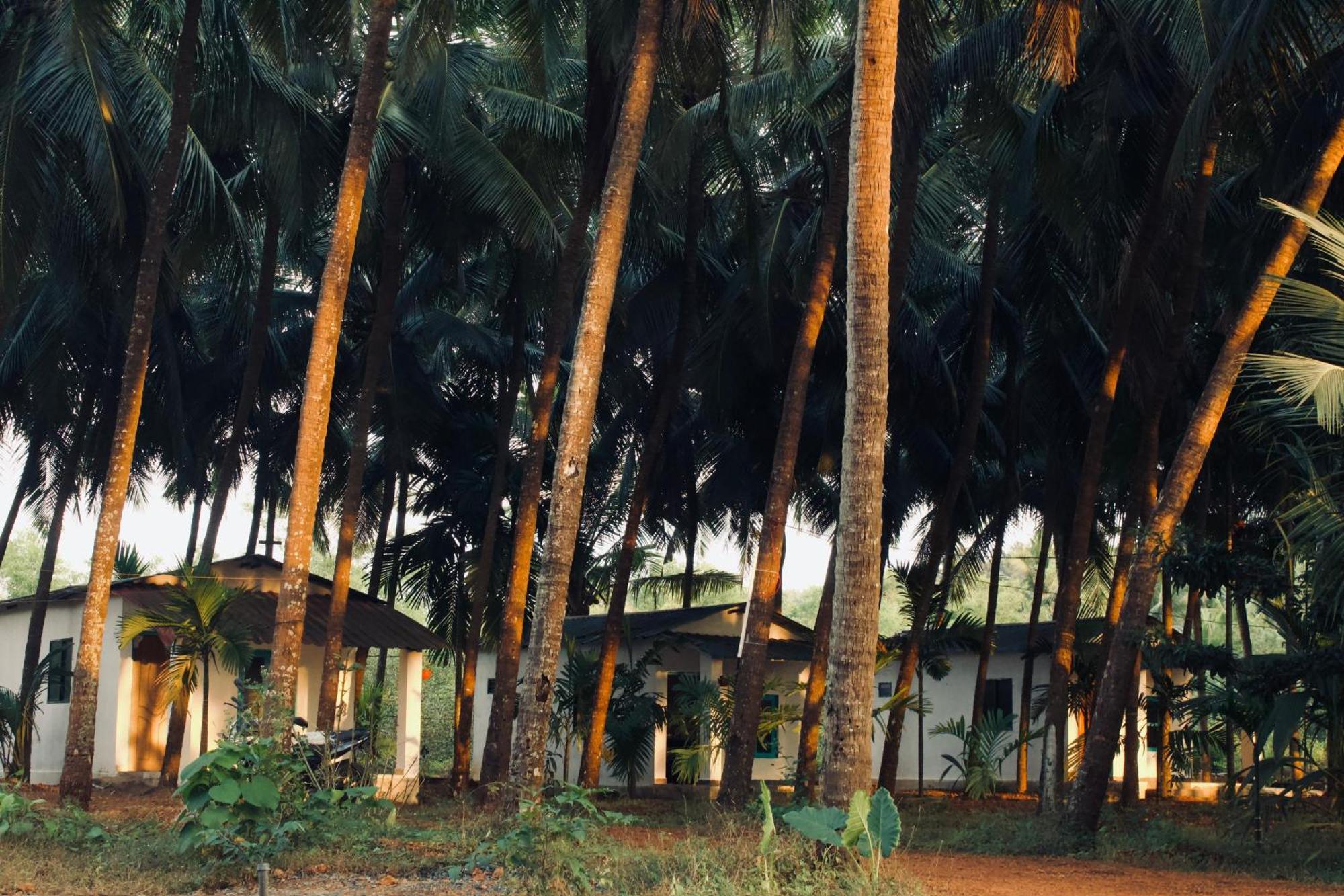 India Yoga Village Canacona Luaran gambar
